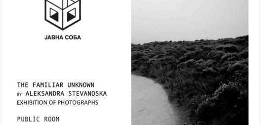 Изложба на фотографии на Александра Стеваноска во Јавна соба